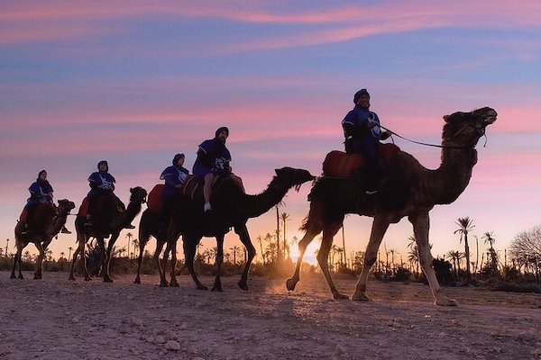 Sunset Camel Ride and BBQ